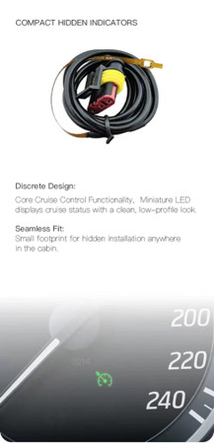 Hidden cruise indicator light version